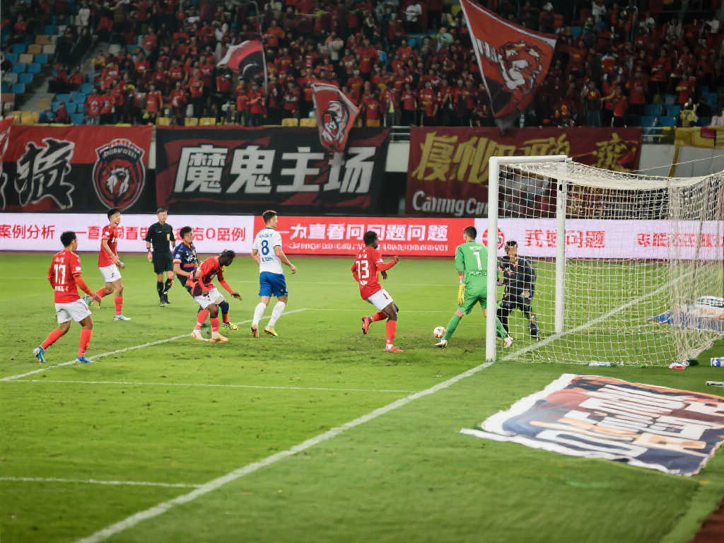 尽管许多球 尽管许多球